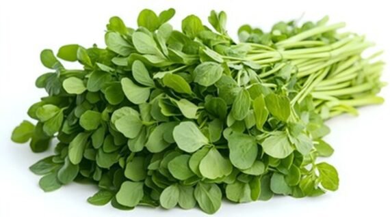 Fenugreek (Meathi) - Image 2