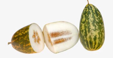 Madras Cucumber(Kakadi)