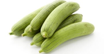 Sponge Gourd (Ghosale)