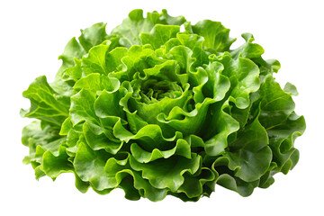 Leafy and Seasoning