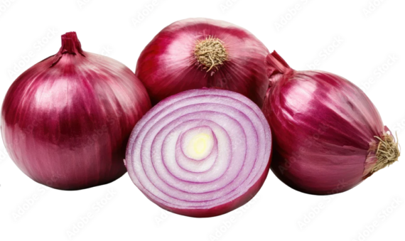 Onion (Kanda) - Image 3