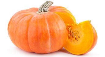 Disco Pumpkin(Kaddu)(bhopla)