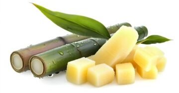 Sugarcane Cubes